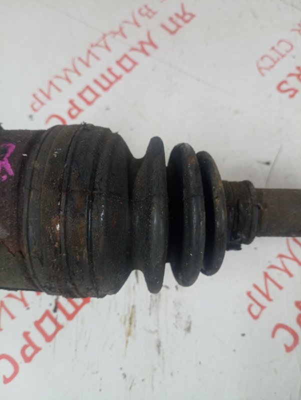 Привод, 2000 рублей, Владимир