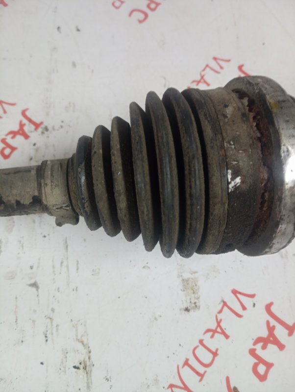 Привод, 2000 рублей, Владимир