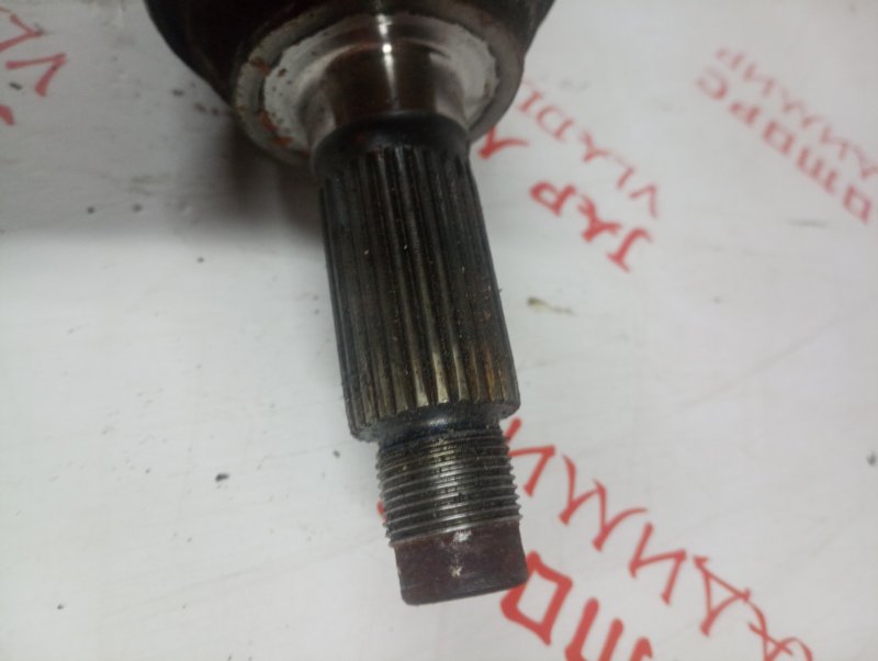 Привод, 2000 рублей, Владимир