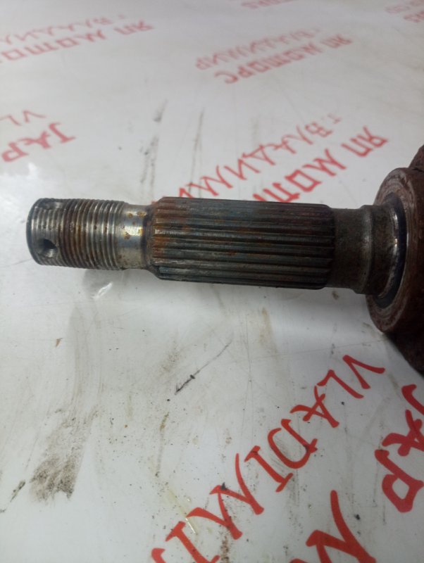 Привод, 2500 рублей, Владимир