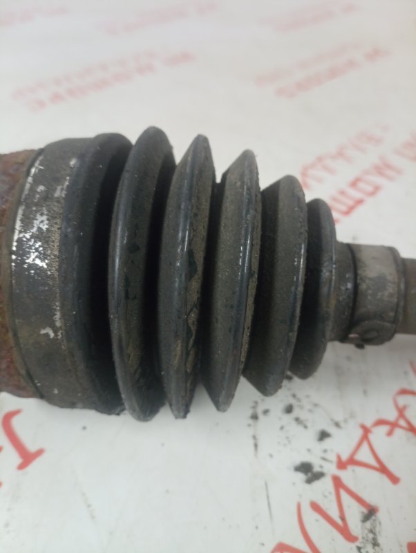 Привод, 2500 рублей, Владимир