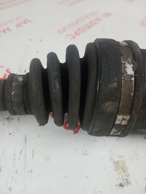 Привод, 2500 рублей, Владимир