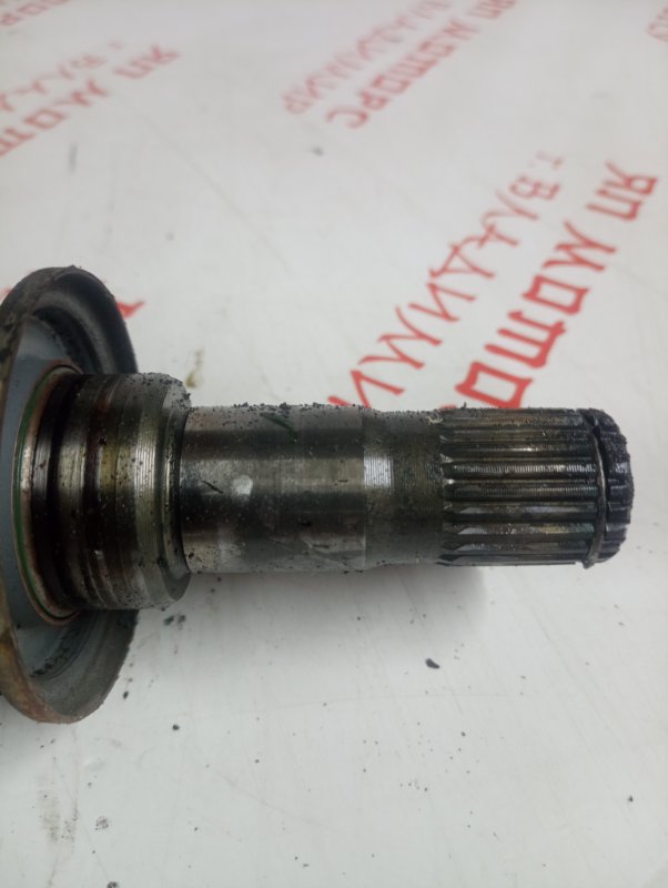 Привод, 2500 рублей, Владимир