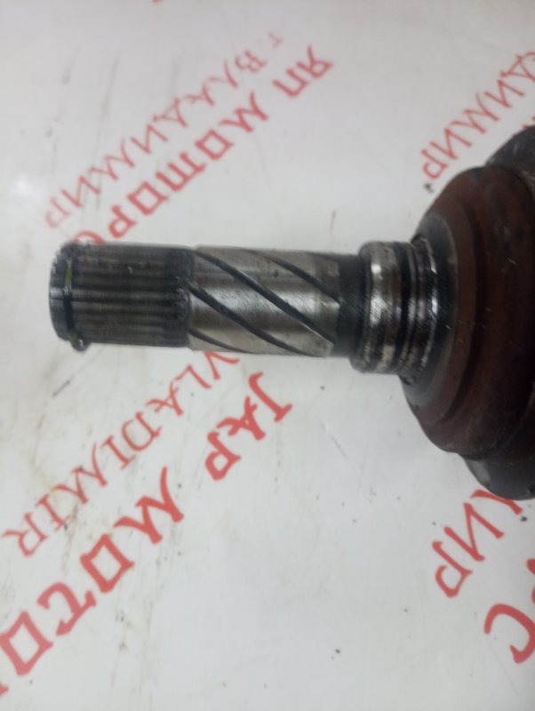 Привод, 2000 рублей, Владимир