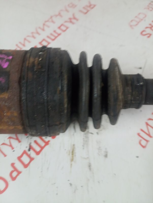 Привод, 2000 рублей, Владимир