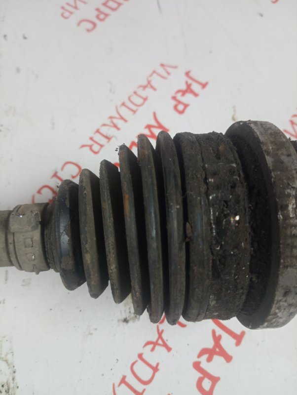 Привод, 2000 рублей, Владимир