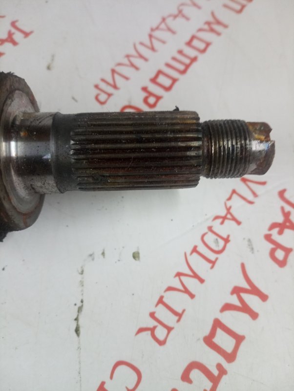 Привод, 2000 рублей, Владимир