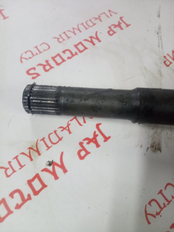 Привод, 4000 рублей, Владимир