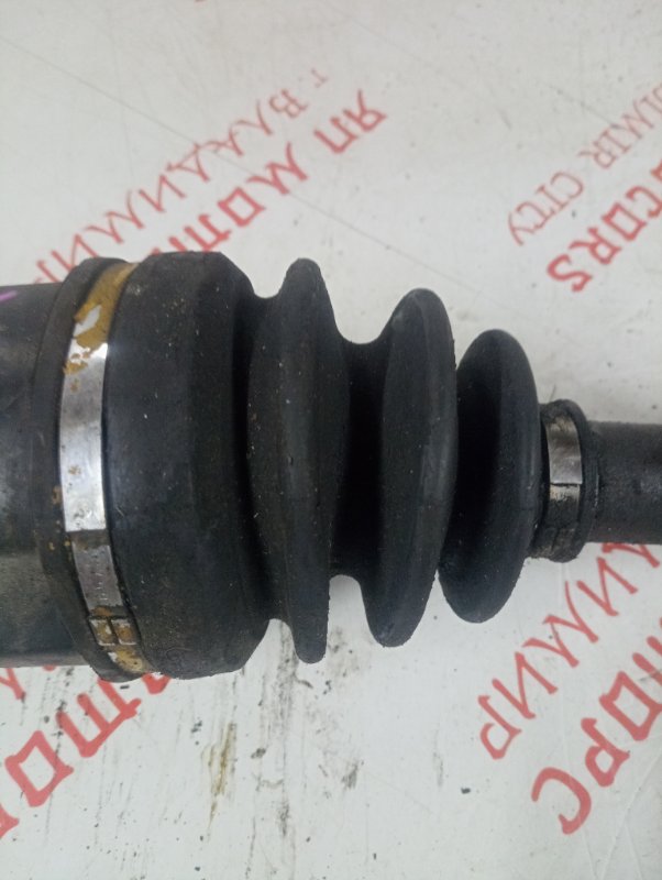 Привод, 4000 рублей, Владимир