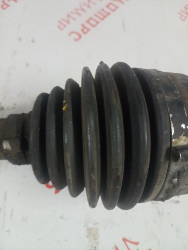 Привод, 4000 рублей, Владимир