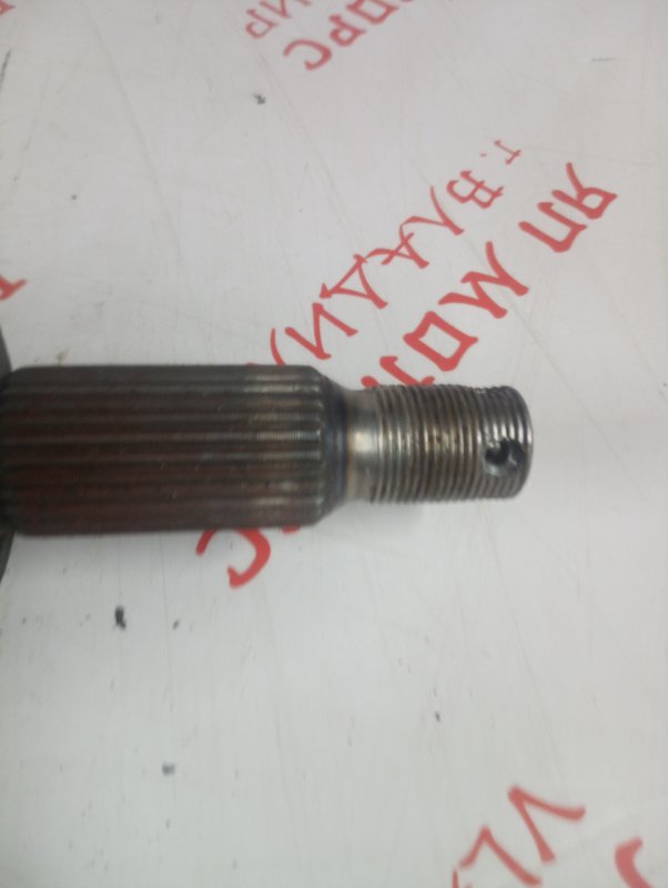 Привод, 4000 рублей, Владимир