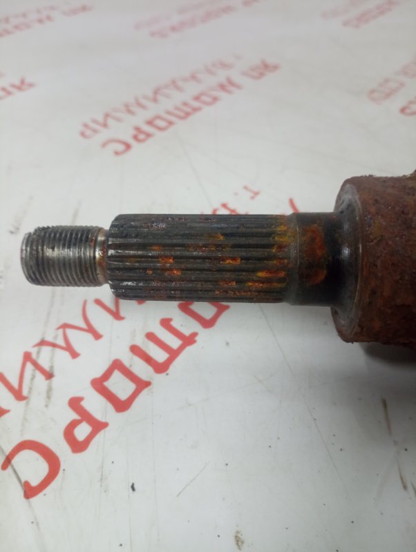 Привод, 3500 рублей, Владимир