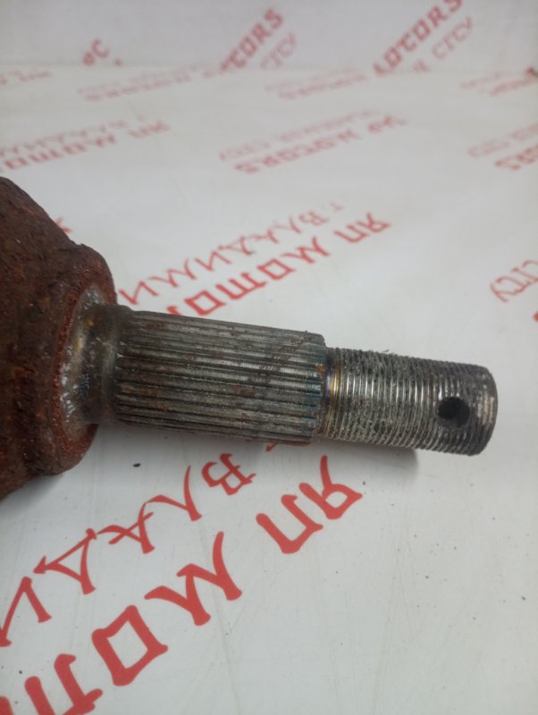 Привод, 11000 рублей, Владимир