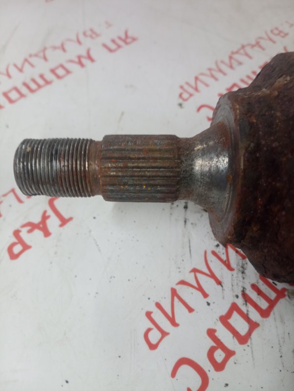 Привод, 3000 рублей, Владимир