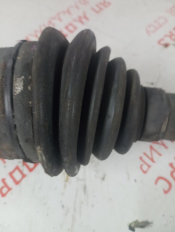 Привод, 3000 рублей, Владимир