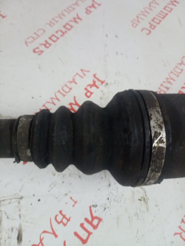 Привод, 3000 рублей, Владимир