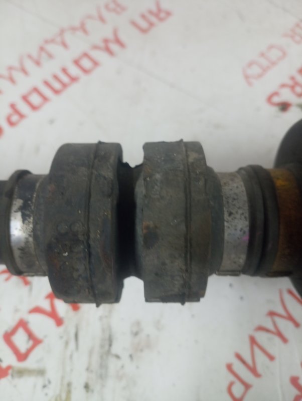 Привод, 10000 рублей, Владимир