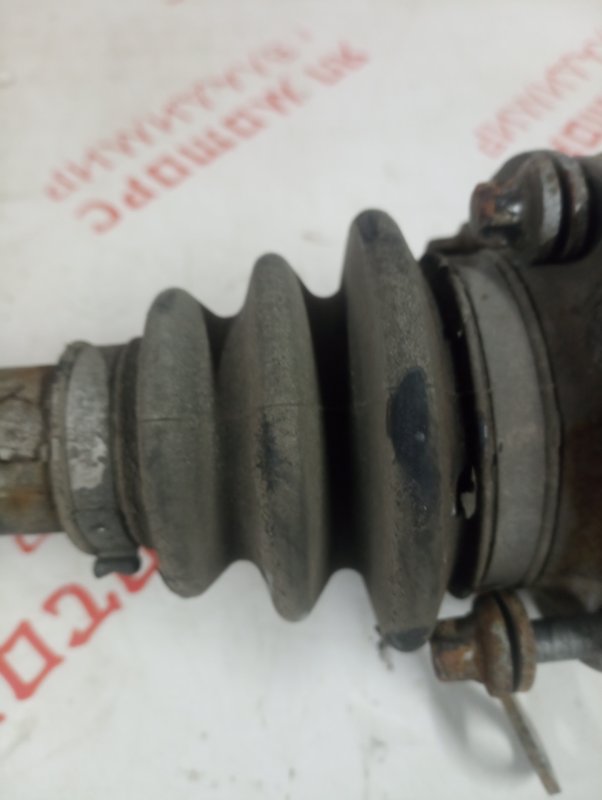 Привод, 3000 рублей, Владимир