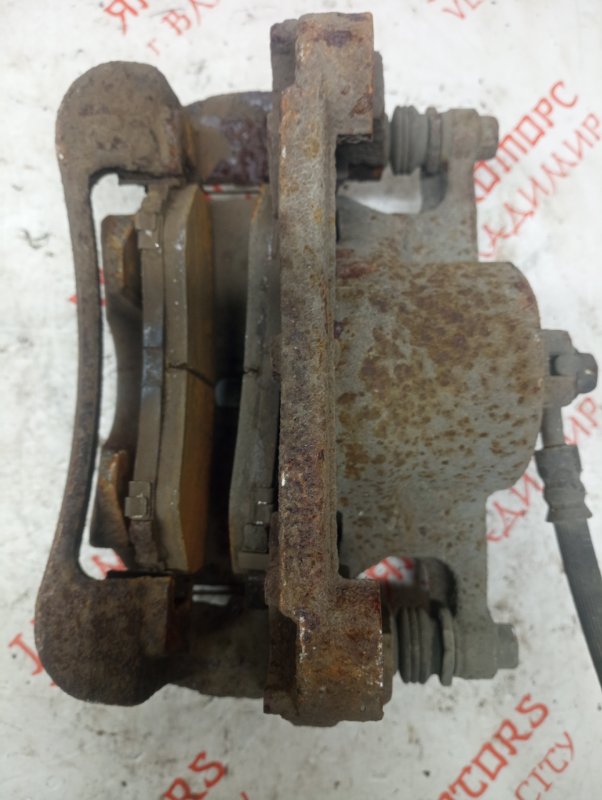 Суппорт тормозной, 2000 рублей, Владимир