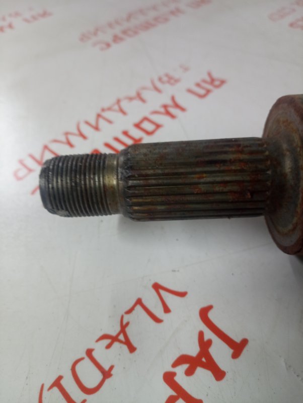 Привод, 4000 рублей, Владимир