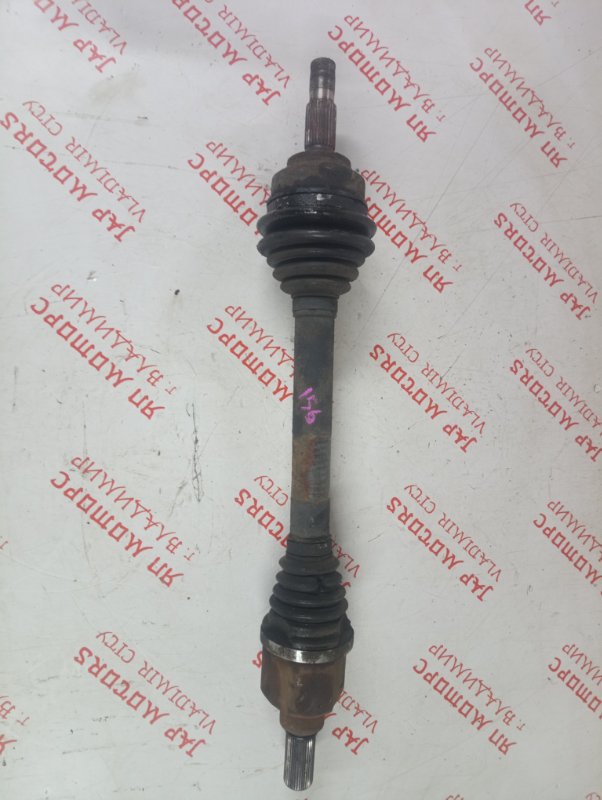 Привод, 4000 рублей, Владимир