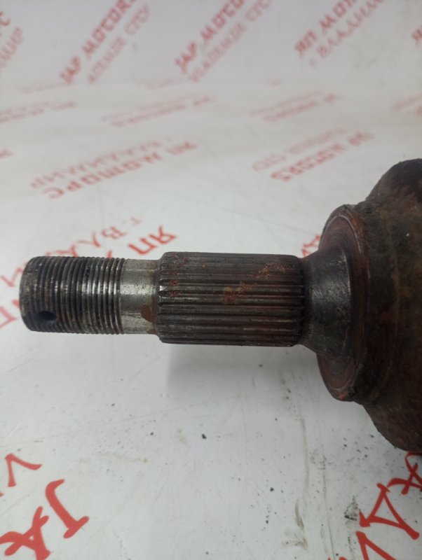 Привод, 4000 рублей, Владимир