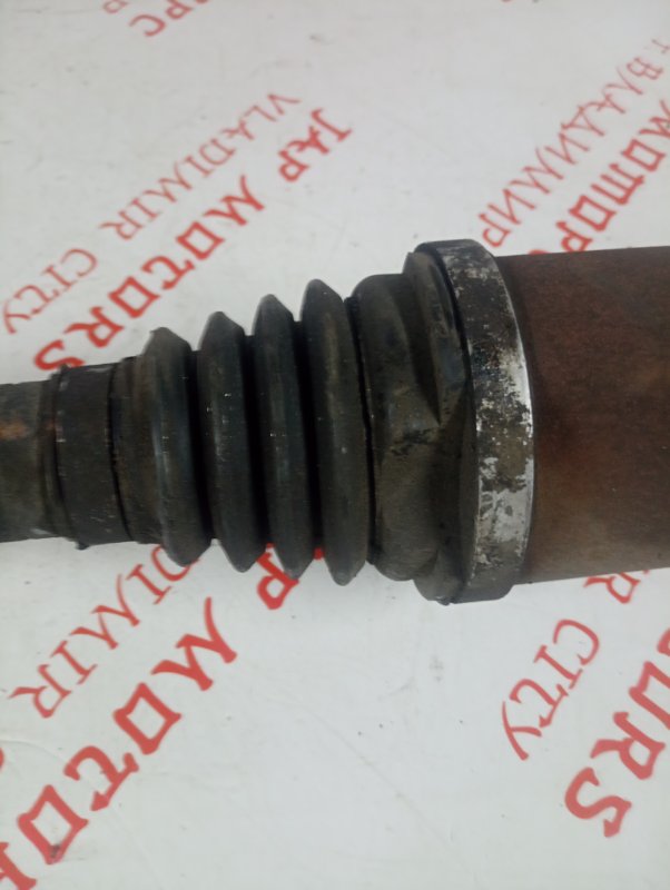 Привод, 4000 рублей, Владимир