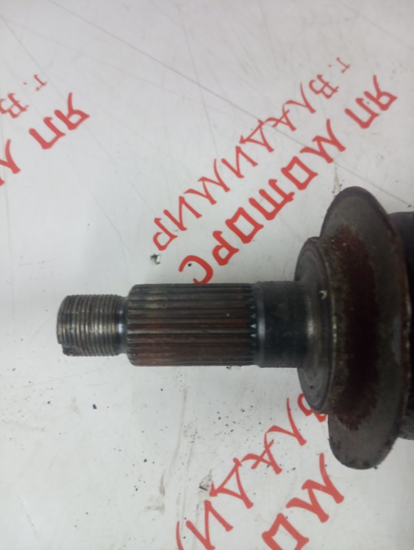 Привод, 4000 рублей, Владимир