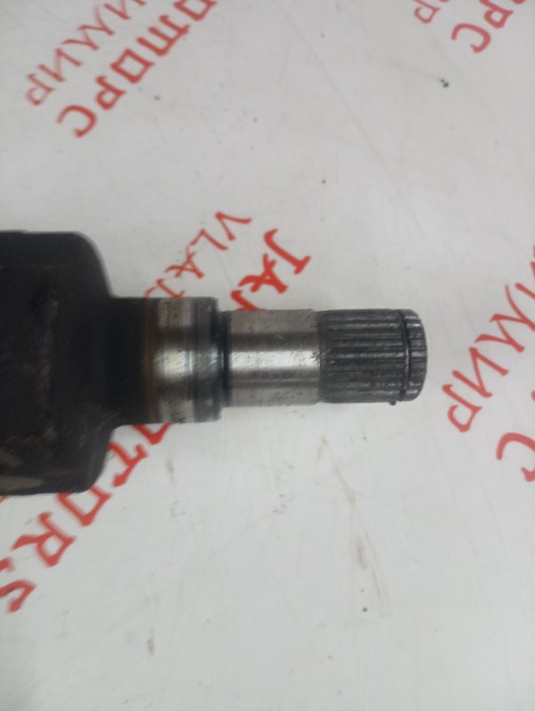 Привод, 4000 рублей, Владимир