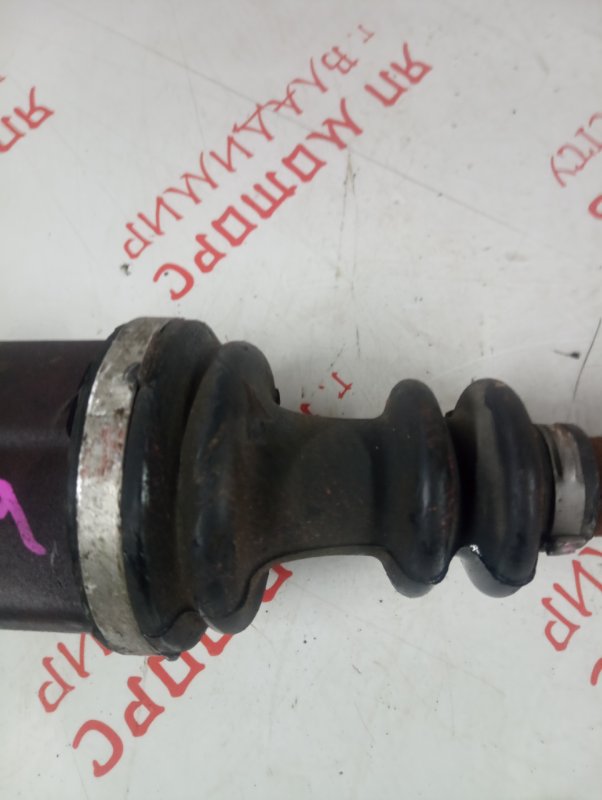 Привод, 3000 рублей, Владимир