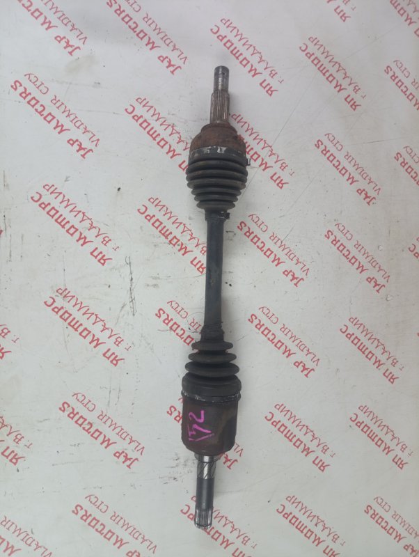 Привод, 4000 рублей, Владимир