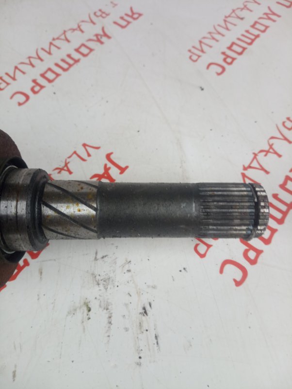 Привод, 4000 рублей, Владимир