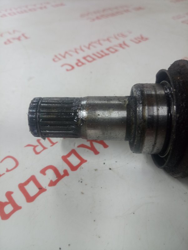 Привод, 3000 рублей, Владимир