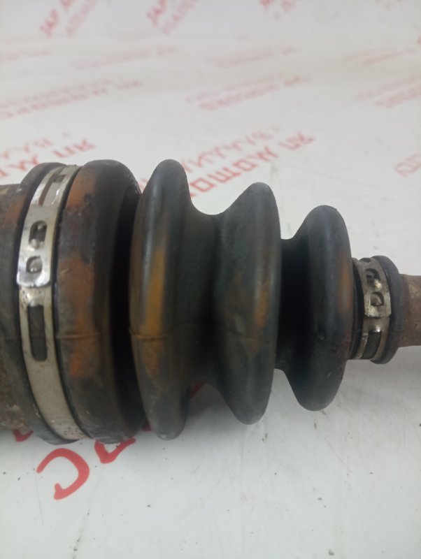 Привод, 3000 рублей, Владимир