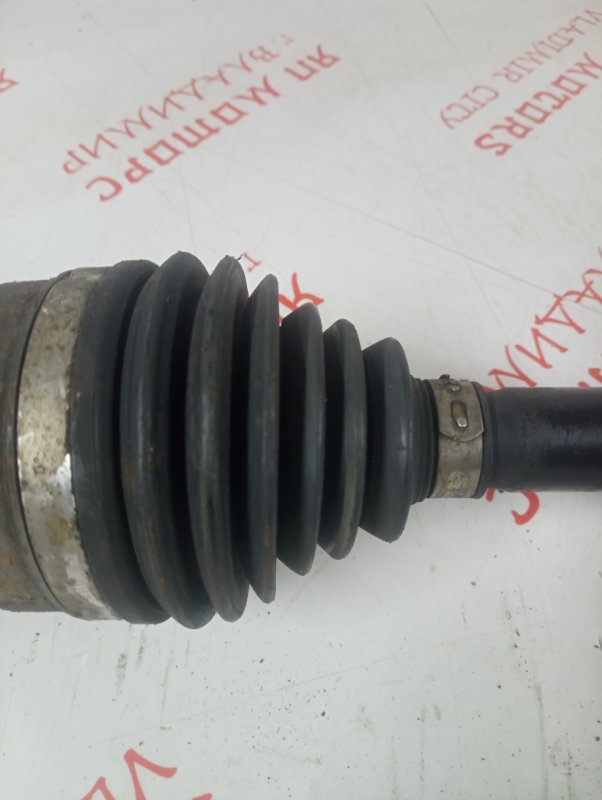 Привод, 6000 рублей, Владимир