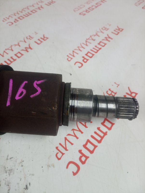 Привод, 6000 рублей, Владимир