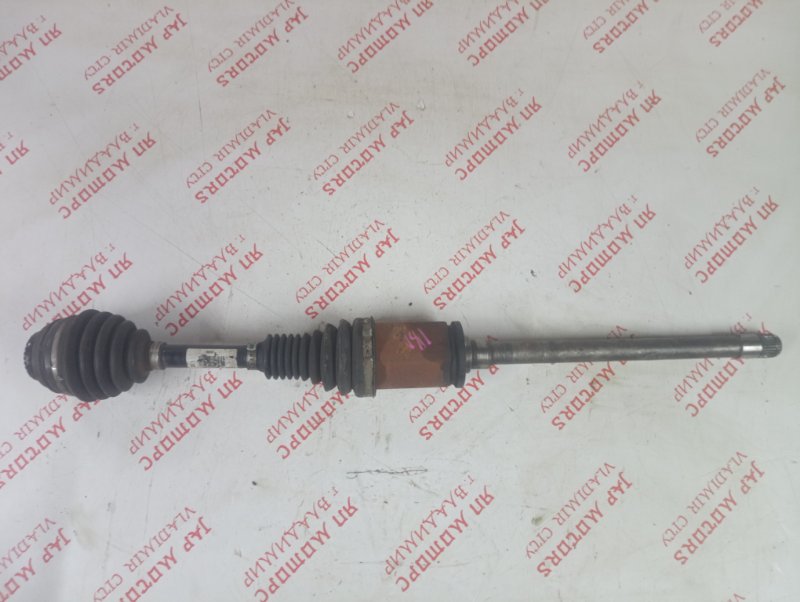 Привод, 7000 рублей, Владимир