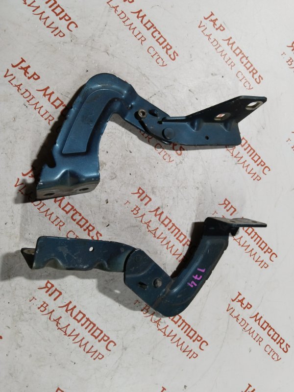 Петля капота, 1000 рублей, Владимир