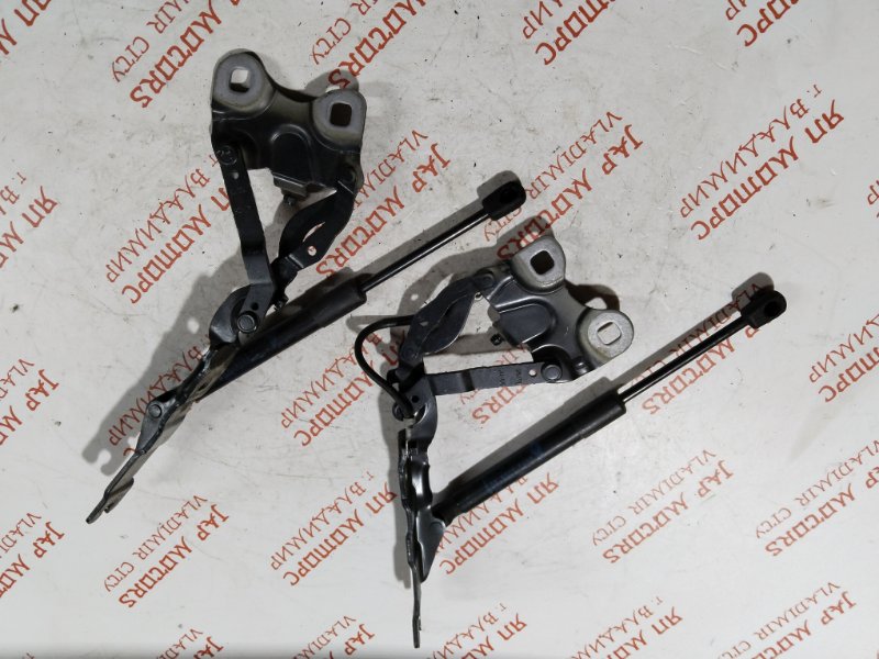 Петля капота, 1500 рублей, Владимир