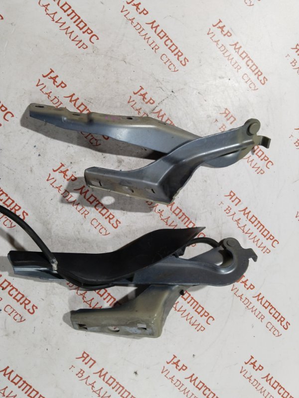 Петля капота, 1000 рублей, Владимир