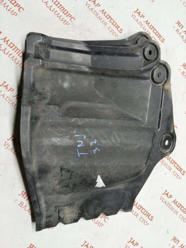 Защита двигателя, 1000 рублей, Владимир