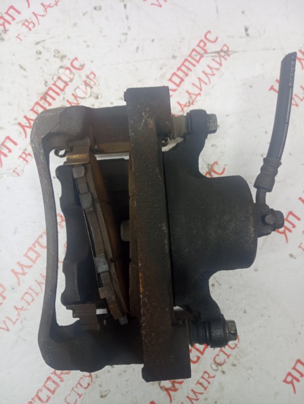 Суппорт тормозной, 3000 рублей, Владимир