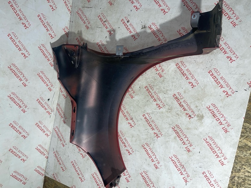 Крыло, 10000 рублей, Владимир