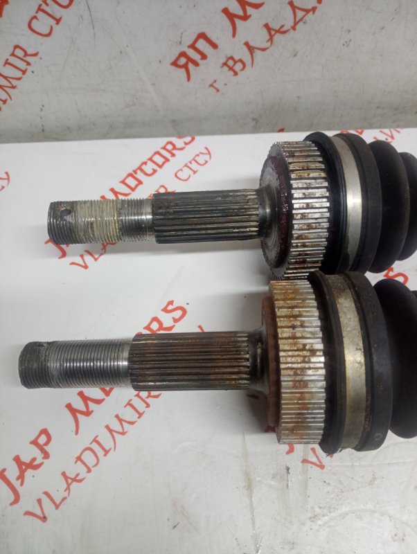 Привод, 6000 рублей, Владимир