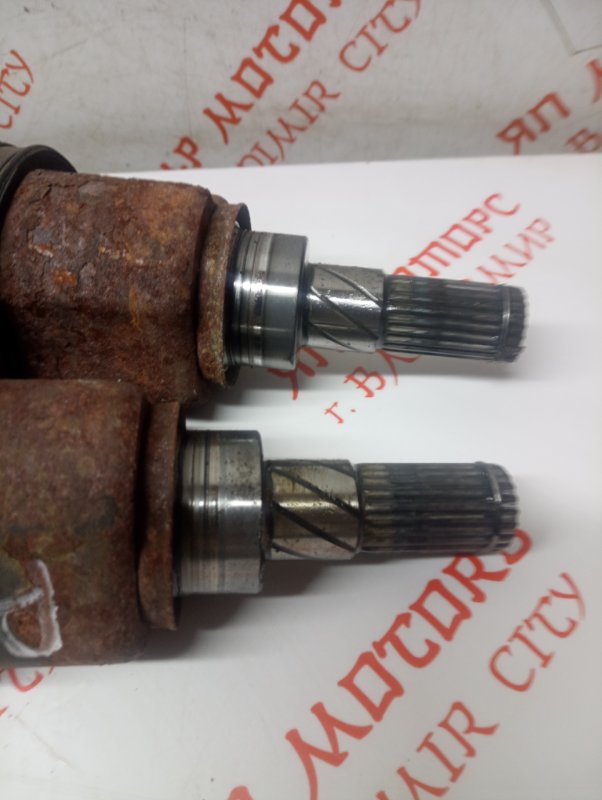 Привод, 6000 рублей, Владимир