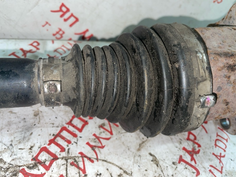 Привод, 5000 рублей, Владимир