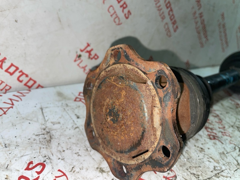 Привод, 5000 рублей, Владимир