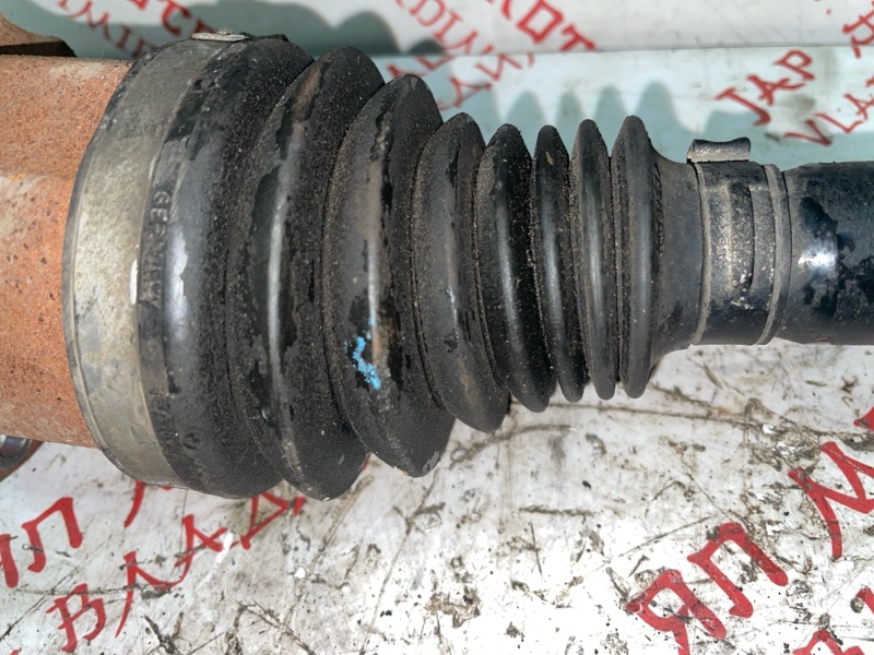 Привод, 5000 рублей, Владимир