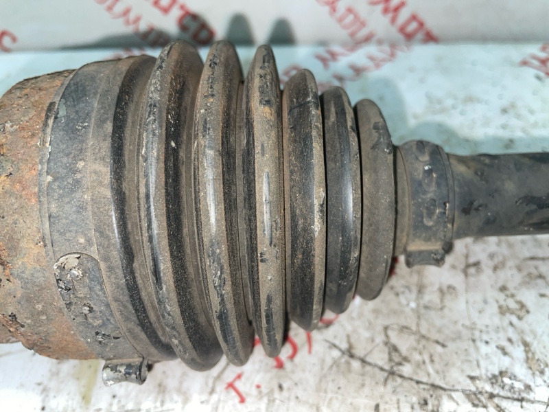 Привод, 4000 рублей, Владимир