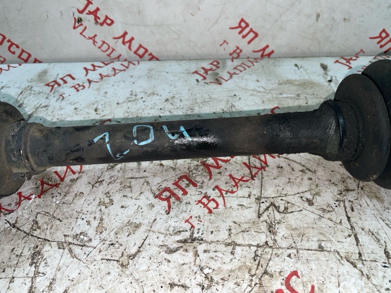 Привод, 4000 рублей, Владимир